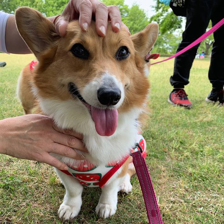 349374e1 d87e 4508 9526 294e5364d62c 1557721287141