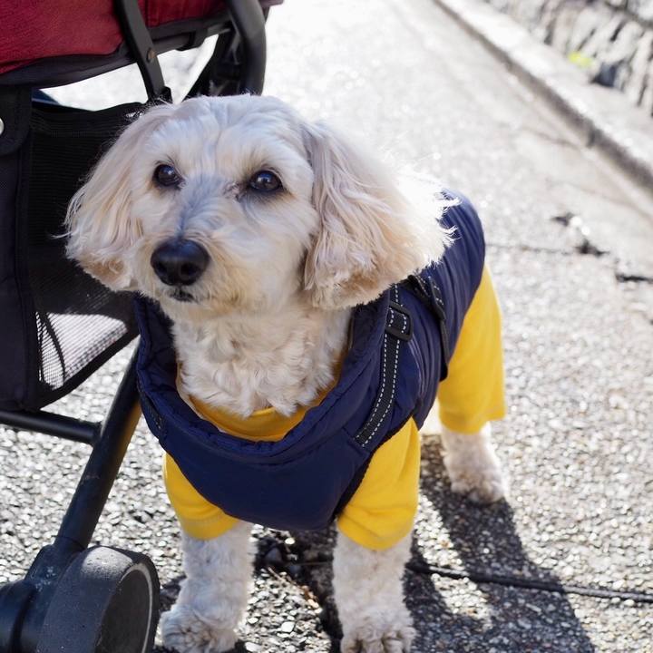 3493c105 e233 4a18 b1bb a76d8674ef38 1768204357061