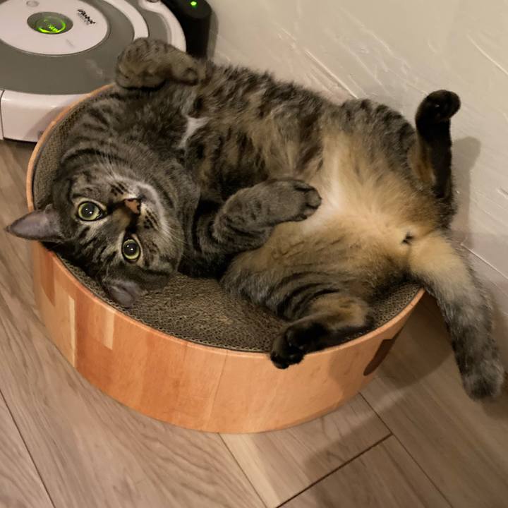 3493c7d5 2f76 4344 9eb6 3c421cac8b02 1649852933772