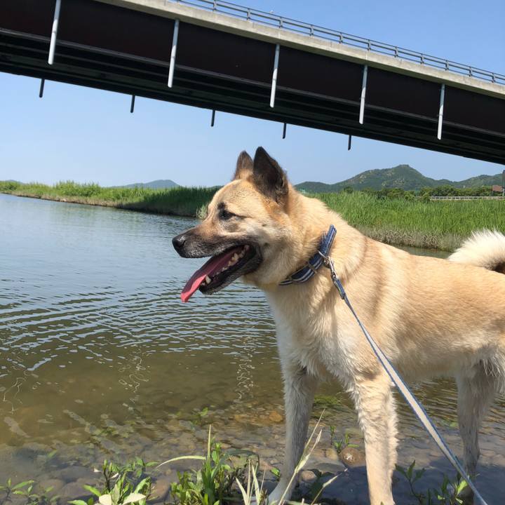 3493dfb8 5932 42f9 9bf6 092224619e47 1591534835909