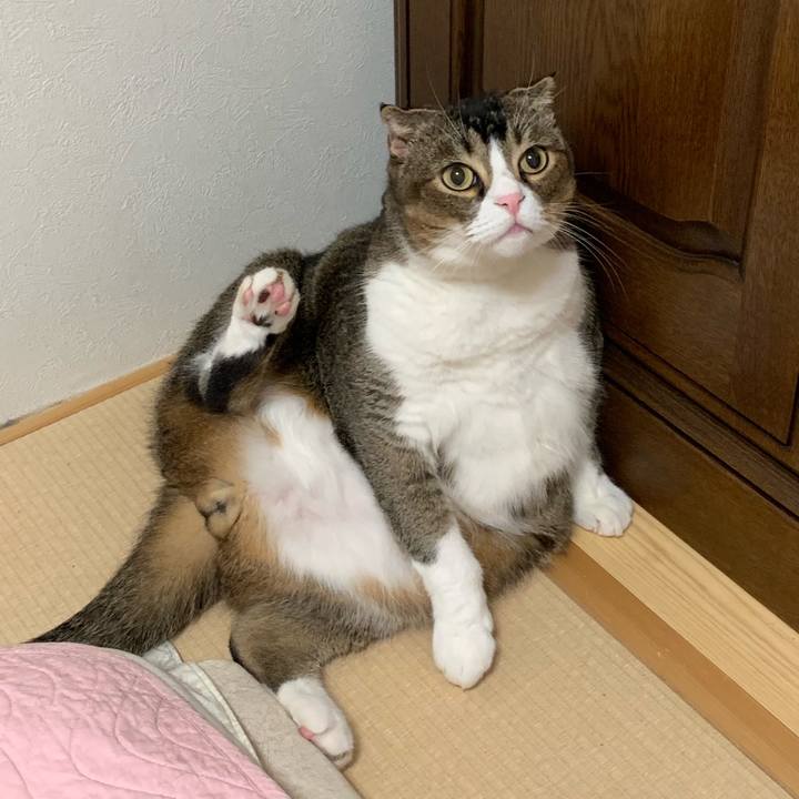 3493fcaa 51f6 4228 a1ad 65b6d9f77f93 1562684909900