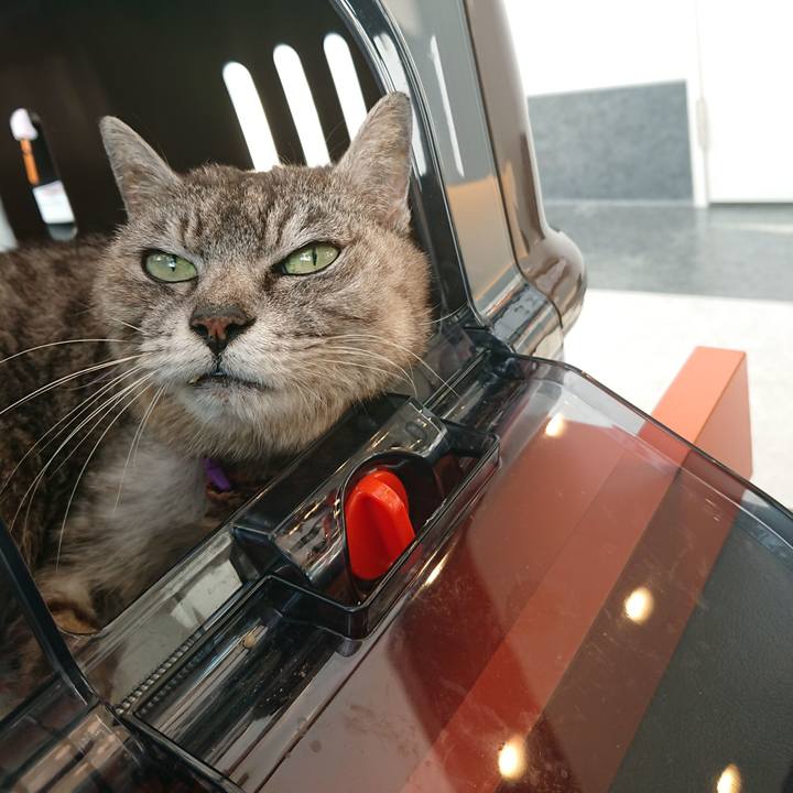 349426d4 6fd0 44db 8a86 04a579909010 1596101935192