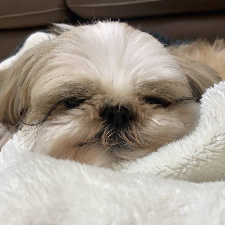 34943b22 faa3 43b8 ba4c b912da72e7e2 1708340476386