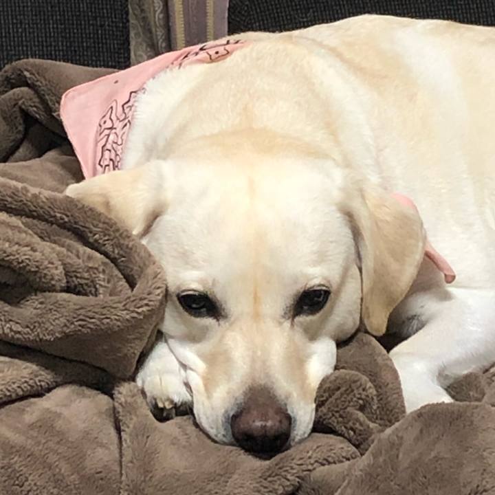 3494564b efeb 4187 b54c 25092d80a16e 1571726694538