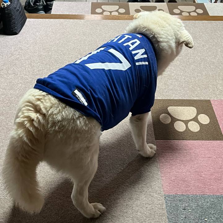 34946713 c8d8 4bb3 b653 19ff90da1b73 1761866439349