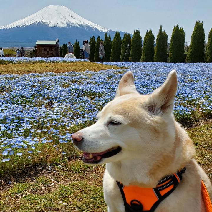 34947337 5a08 4028 ab09 0b0f5581e8f3 1620129451281