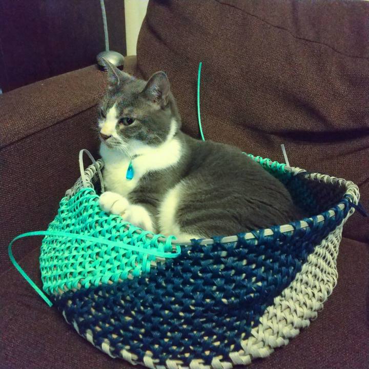 3494a4a0 f9eb 4fb0 82f9 c806a6797df2 1624917290207