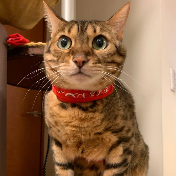 3494c015 d845 429a 9213 614518ce7921 1573773225606