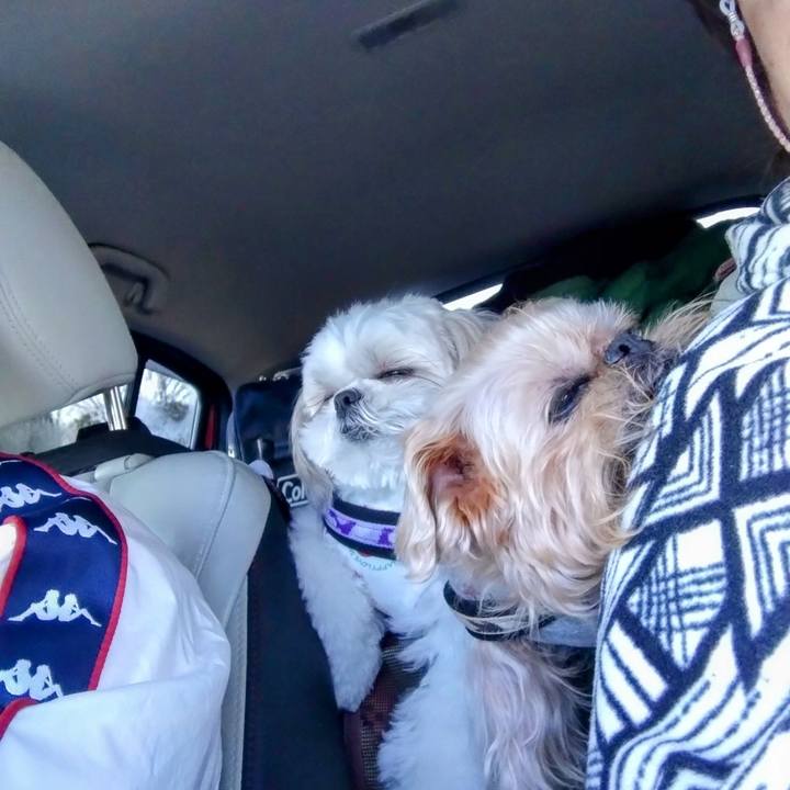 3494ce49 ae80 44b0 ab61 77190396ccab 1676627471354