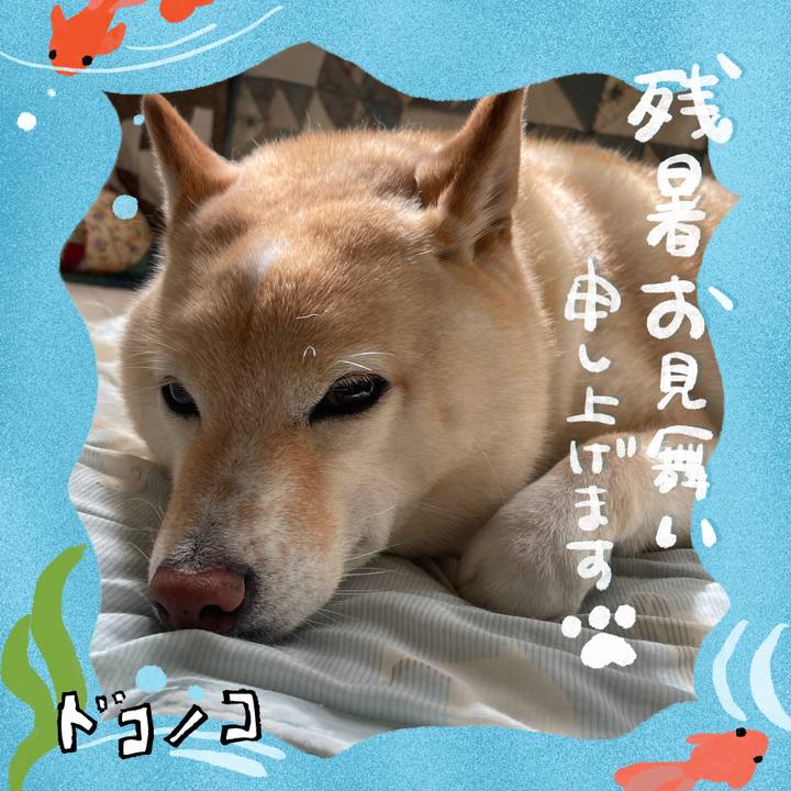 3494e0c9 5196 4b53 9686 9d20d5fbbc01 1723678116384