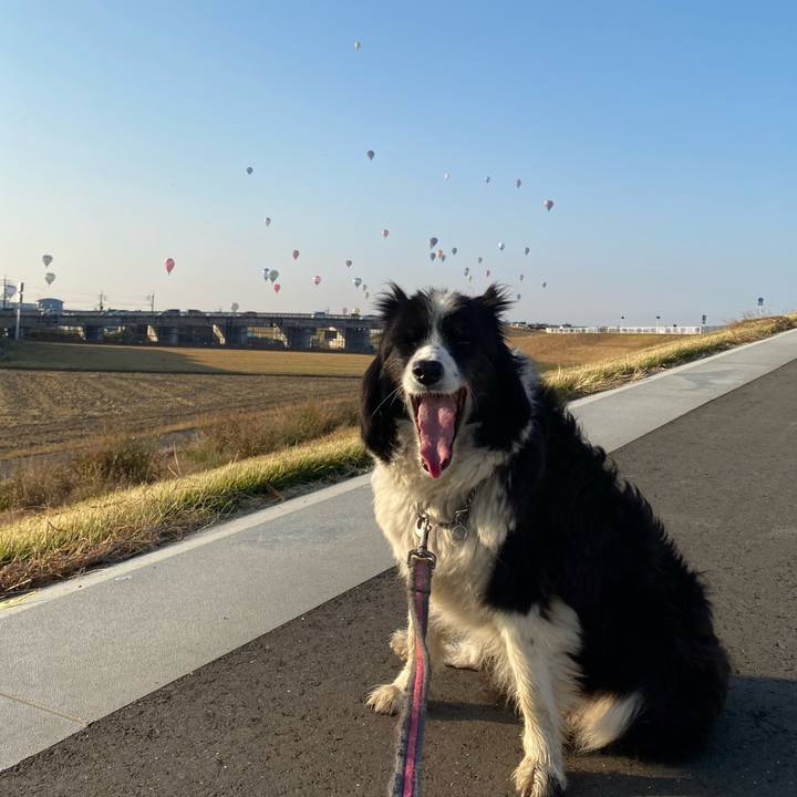 3494eaf1 017a 4265 baf0 52dee6722280 1698795354686