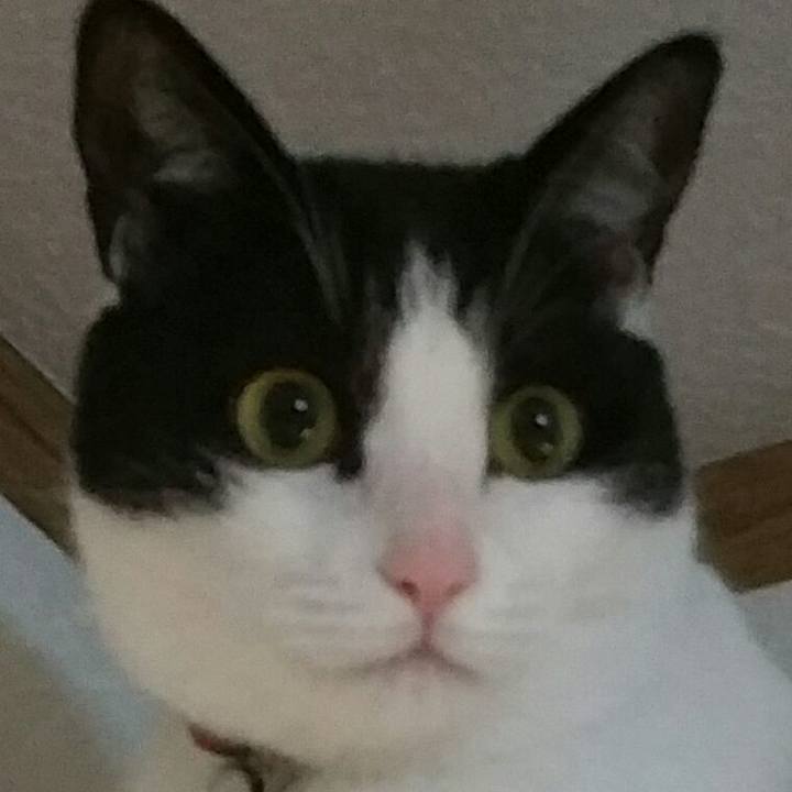 349509a9 ba5e 4346 b0de e6d2d4b45579 1547253818536