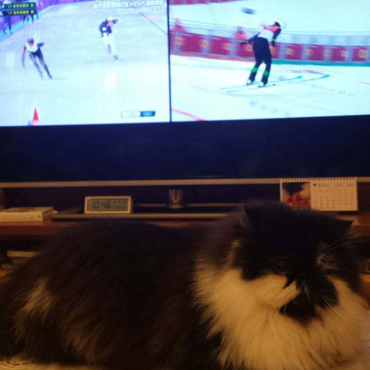 3495217f 0de7 4698 8a70 356e00002c7e 1518443742550