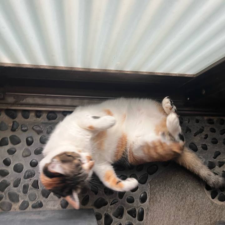 34952a45 f672 447e 867f 7de09b8e16b0 1762869235927