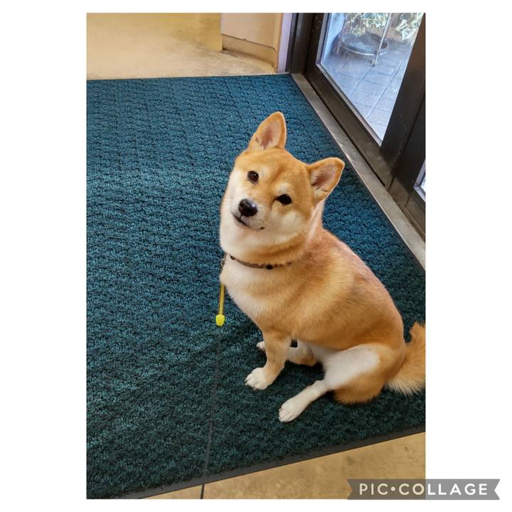 34955449 9291 4a36 8534 dfa94f3f4f35 1698820111398