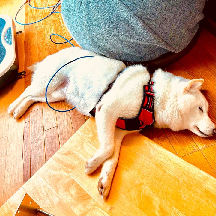 34955474 d5c4 4697 aaf7 47a373392816 1702689353322