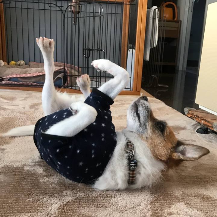 3495720c ae82 4353 9677 a9cd46377f7c 1516841495801