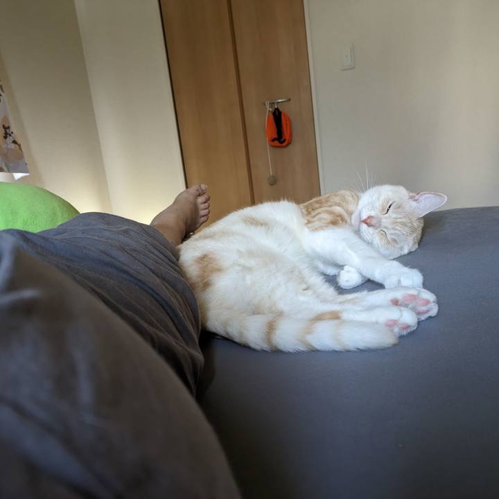 34957f77 3603 4a6a a07f fb595bdfd450 1692097263177