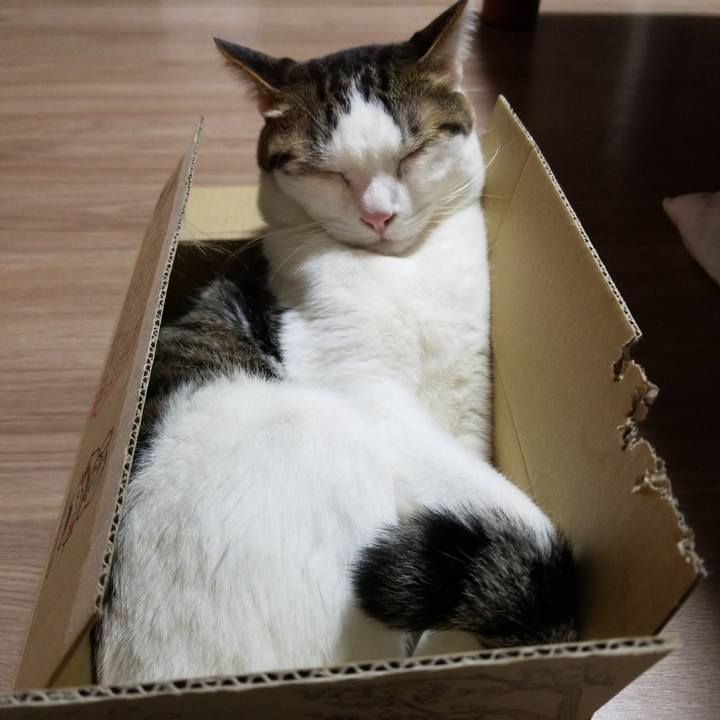 34959594 91ae 4540 a5bb 70ec43515612 1586258310147