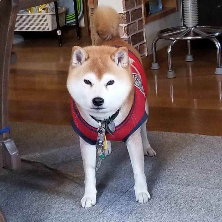 3495a5bb 6cf6 4820 8a1c 82d0a7407973 1607646111768