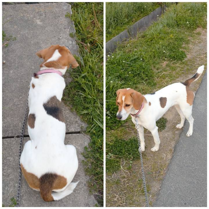 3495af68 82e2 4630 9903 2921aa015671 1587545233029