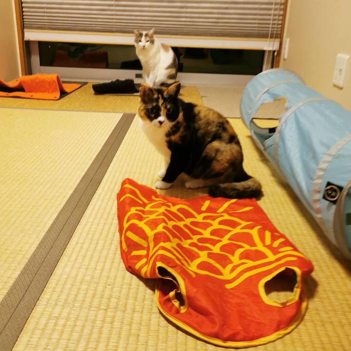 3495d09a db6a 43c7 a4d0 68035cf6cd6a 1678680821127