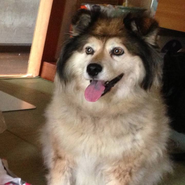 34960ec0 56dc 4fff 8e4f b7d37698a406 1613340099587