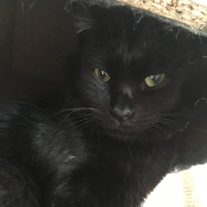 34961820 8e9a 4b9d 94ed f4ab581f8bc7 1547868857922