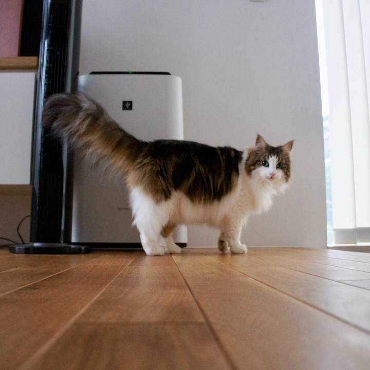 349619e4 25d1 47de b20b 11e98e668bf1 1528709530909