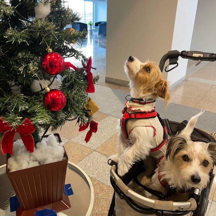 34962440 b37f 4ac8 b173 381de21c51ec 1764287442274