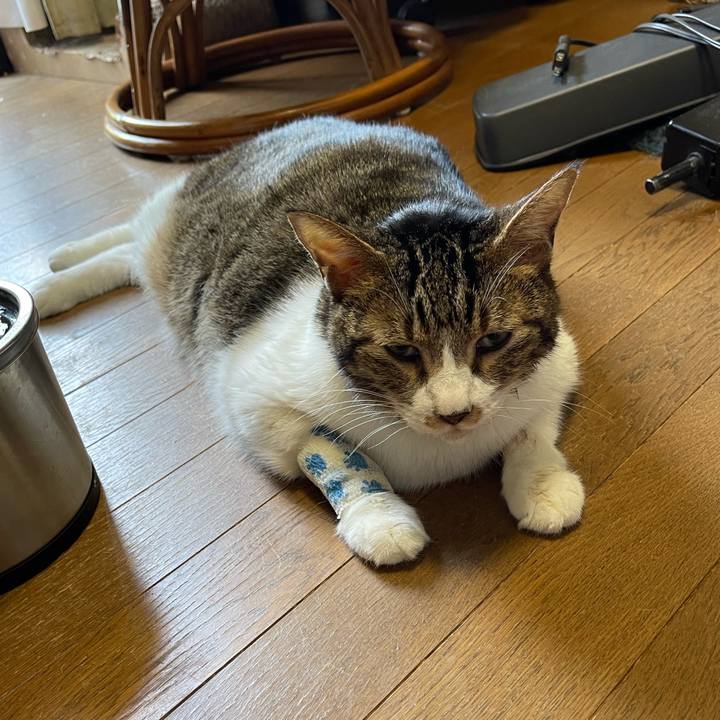 34962d3d 15b5 4c7f 9f04 0e3b53f69e8f 1755471136302