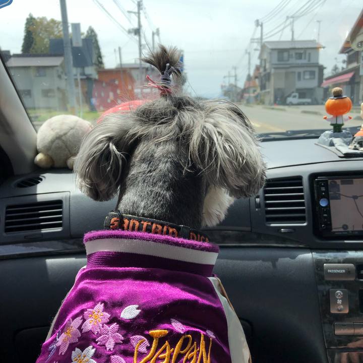 349660a2 d59e 40c9 a5c5 26eb1ec833fb 1556423635387