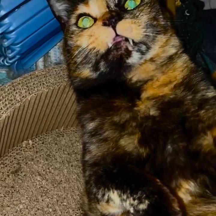 3496f4d9 3107 4e2b 8a8a 2f6973fa1a95 1749503612410