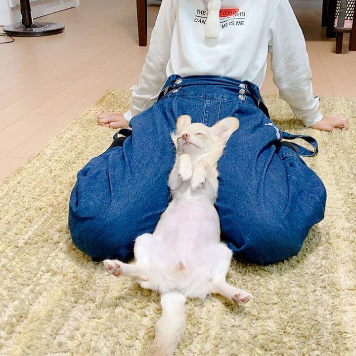 3497009c f764 4b42 9925 f10e1f6ab8f5 1600849065131