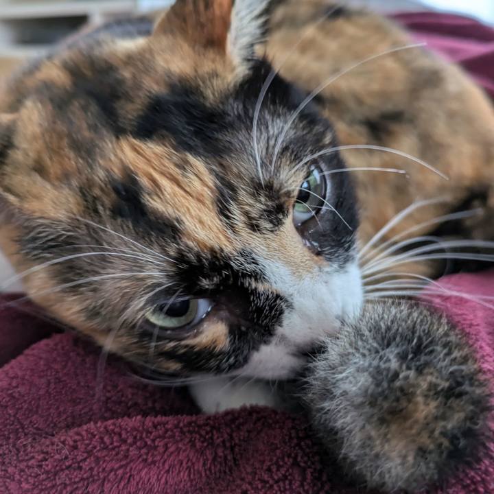 349710fa 8fba 4270 b177 f92a1a06c695 1728436009435