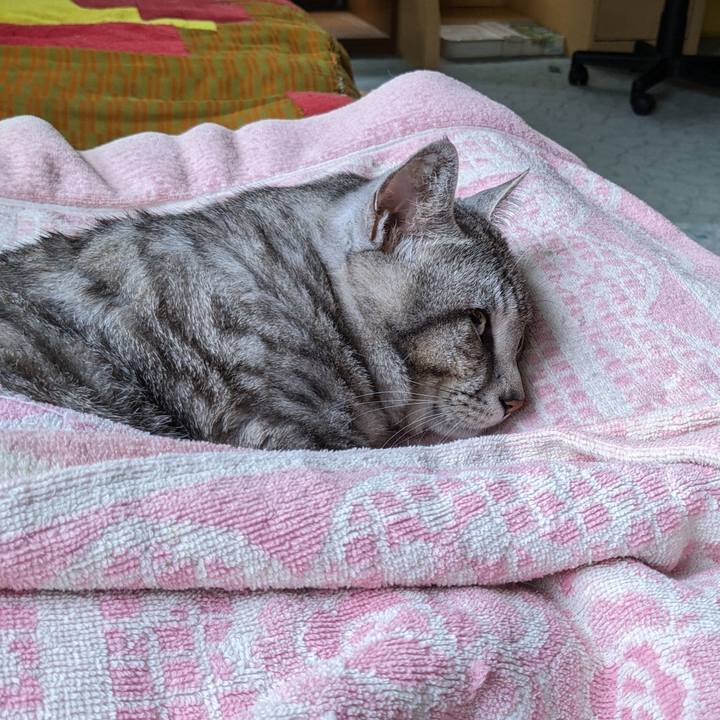 34973a8c 95db 4c4f b95b ed2c77335b15 1716107196370