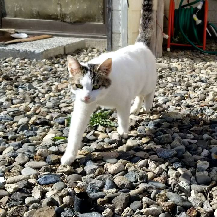 34973d17 4148 4d02 837e 7b32933b54ba 1681319832643