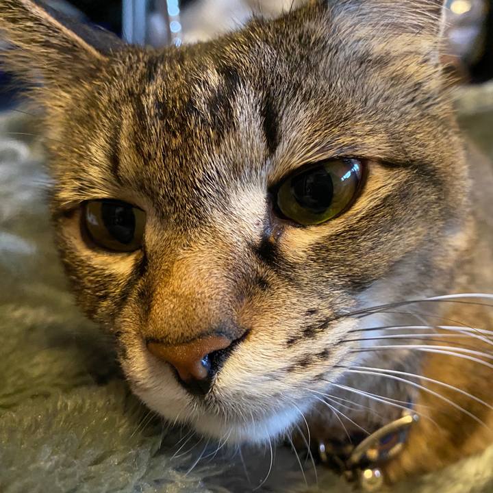 34973d81 568b 4ec7 88aa d6516840dd94 1585371137682