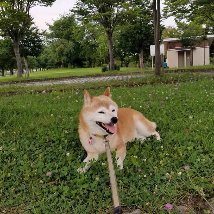 34976df4 343f 42bc af28 a19277cb6779 1690101952127