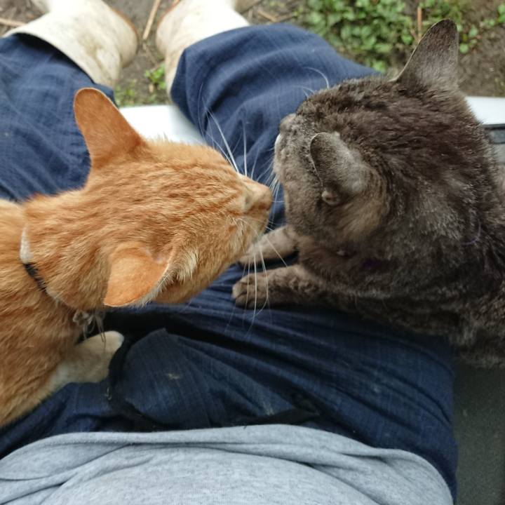 349773f8 5993 481b 898a b63b99170432 1594674677530