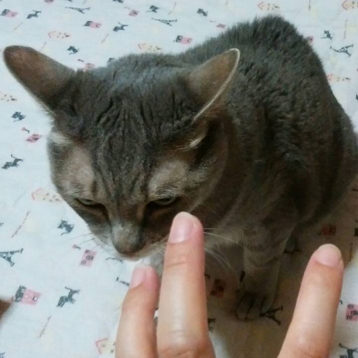 34977848 c434 43ea bf92 39a90e5de9cb 1570451870817