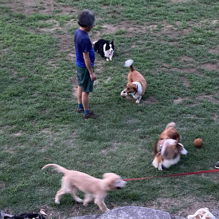 3497b69b c38a 4191 a6b4 eec3ac5926a9 1692751514895