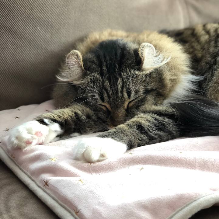 34980388 8ea0 4407 b545 36e7801a3df9 1568955377122