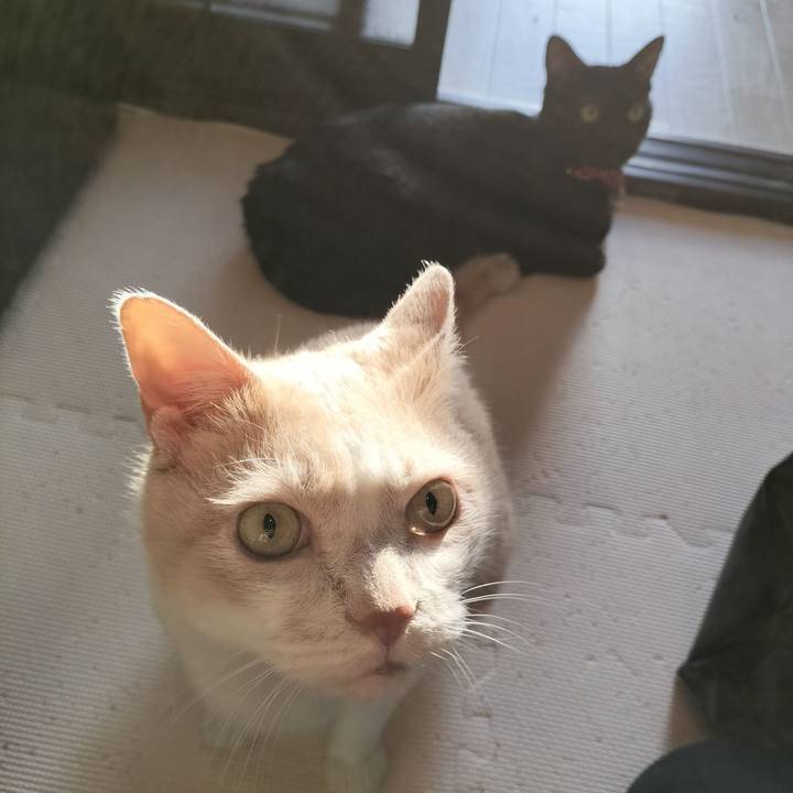 34981c1e baa7 43a1 9065 5aef18047cbf 1633732521763