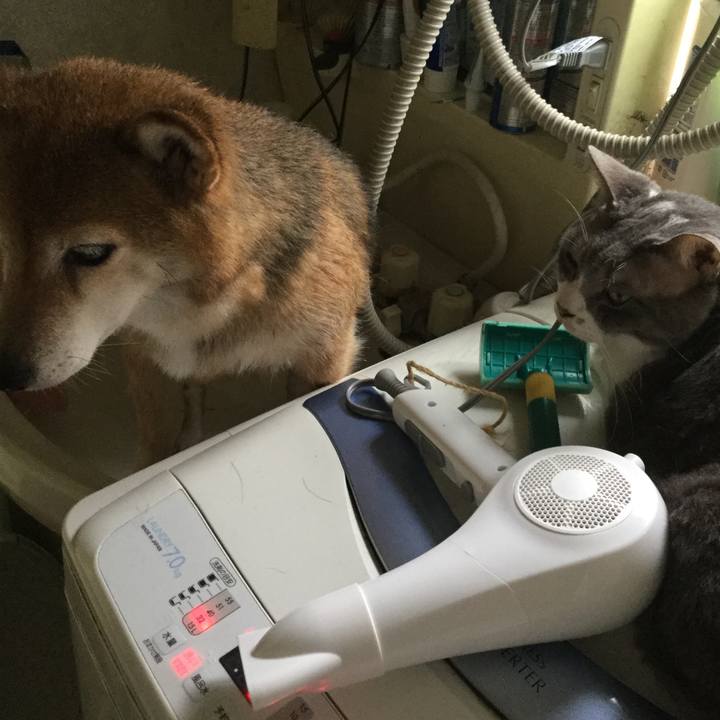 349827b8 23a9 4c6a a323 985a33949756 1627699969978