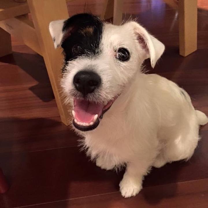 34988f81 5d1d 499b bac5 7cf68ed78a1e 1654122538635