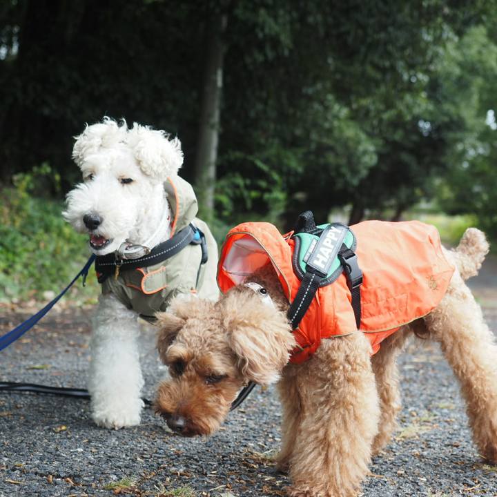 3498a443 4ed3 4e3d a7c4 09b4afad1d22 1508453242989