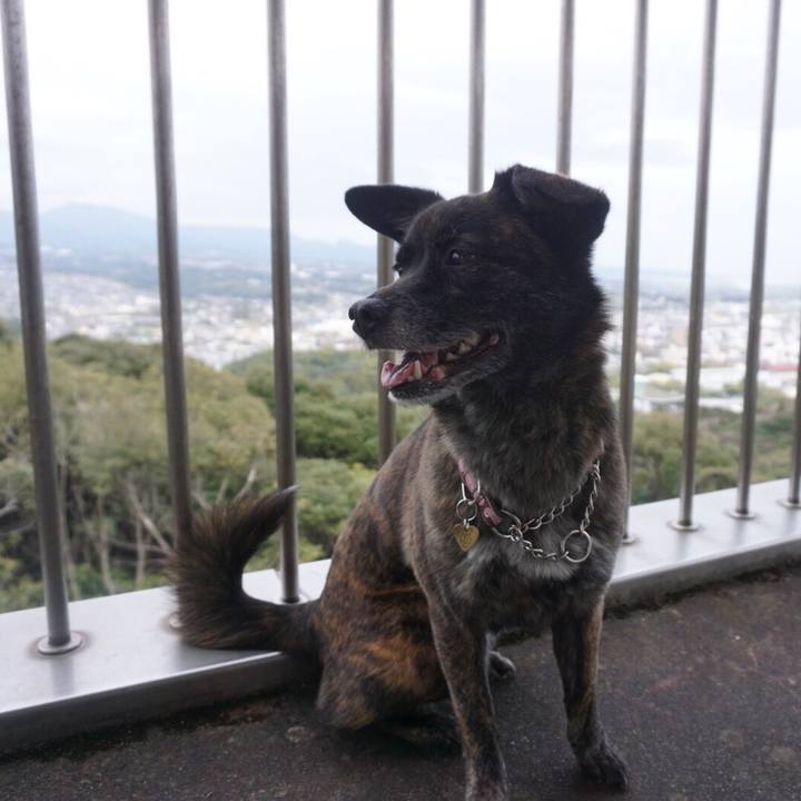 3498bcd2 cfd0 4d72 9af4 3c951b3b8839 1524399957393