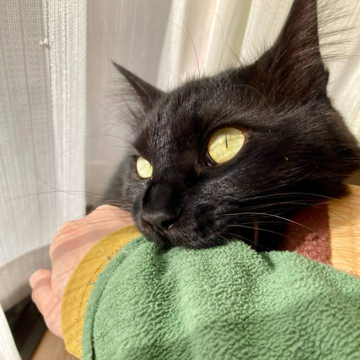 3498d88f 76fe 44e4 9c5f 6015bada3be9 1736850482231