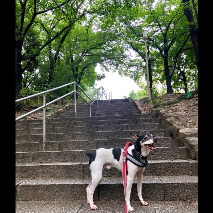 3498de35 f43c 4c42 92b3 37f8434eb15c 1563589523992